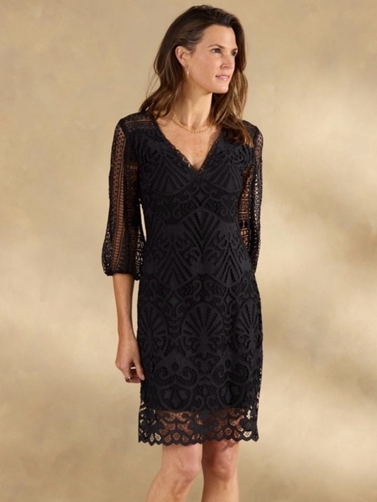 Sundance Dresses & Skirts - SUNDANCE CHARLESTON LACE DRESS IN BLACK 12P 12 petite